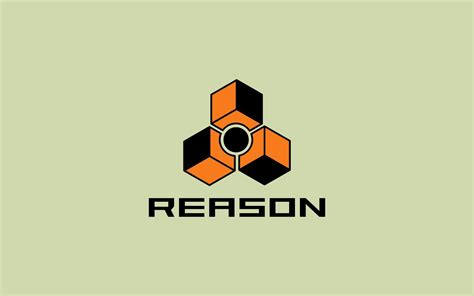 Reason Loop Logo 的图像结果