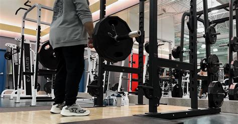 Back Exercise 的图像结果