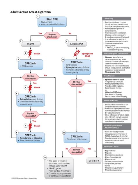 ACLS Algorithms 2020 的图像结果