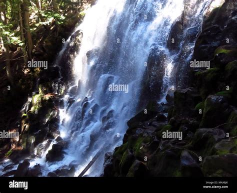 Ramona Falls Hike at Mt Hood Wilderness in Oregon Stock Photo - Alamy