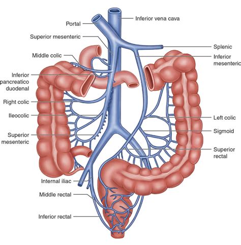 Superior Mesenteric Vein Thrombosis
