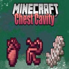 Image result for Minecraft Surgery Mod Review