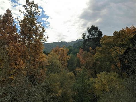 Stevens Canyon Trail - California | AllTrails