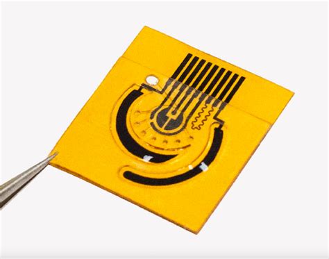 Caltech’s Wearable Sensor Detects Metabolites and Nutrients From Sweat