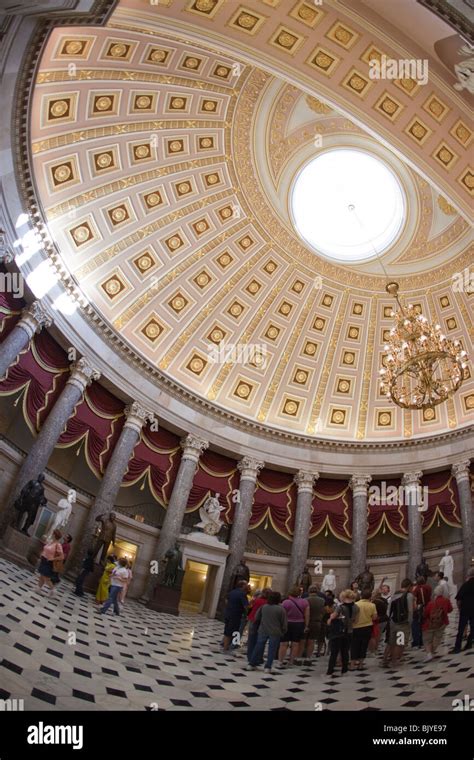 Senate 的图像结果