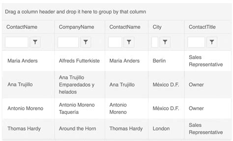 How to Use Kendo UI Grid 的图像结果
