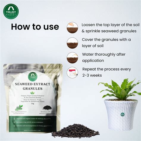 Seaweed Extract Granules – TrustBasket
