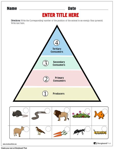 Ecosystems Worksheets for Kids: Free Printable Templates - Worksheets Library