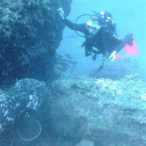 EXPLORA MADEIRA DIVING CENTER - All You Need to Know BEFORE You Go 2026 ...