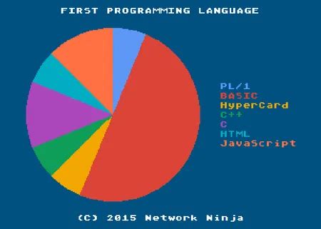 First Programming Language 的图像结果