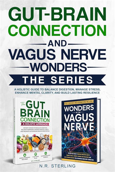 THE GUT-BRAIN CONNECTION AND VAGUS NERVE WONDERS SERIES: A HOLISTIC ...