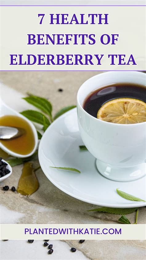 7 Health Benefits Of Elderberry Tea & How To Make It