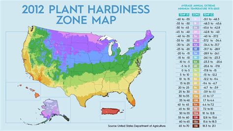 How to Find Your Hardiness Zone and Pick Plants That Will Grow