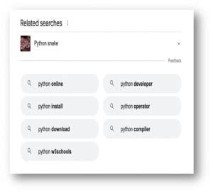 Automate Google Search Using Python 的图像结果