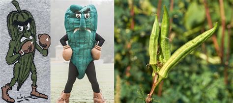 March Madness: Botanical Sports Mascots - North Carolina Botanical Garden
