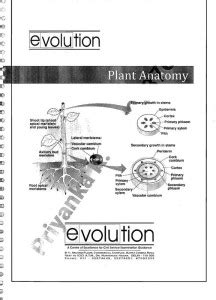 Evolution Botany Plant Anatomy Printed Notes In English For Mains: Buy ...