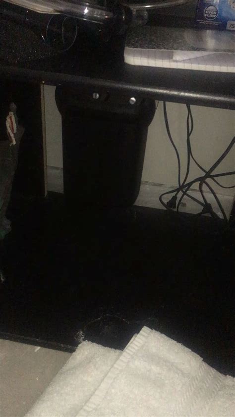 Image result for Fluval 306 Problems