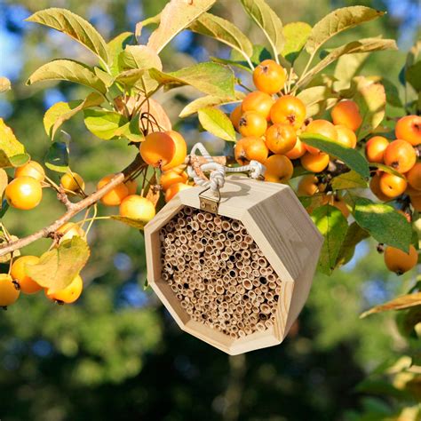 Octagonal Shape Bee Hive Wooden Insect Hotel Carpe... – Grandado