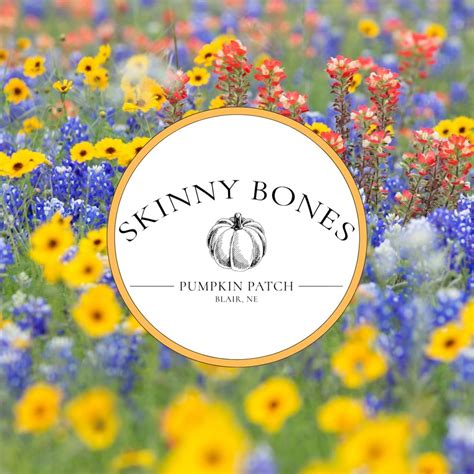 Welcome to Vala's. The 2025 Fall Festival begins today and continues ...