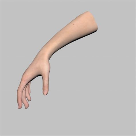 Image result for Female Hand 3D Modeling