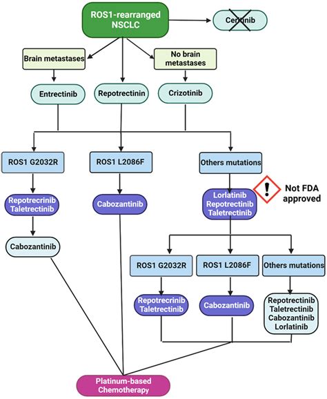 From Development to Place in Therapy of Lorlatinib for the Treatment of ...