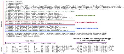 VCF Format Explained 的图像结果