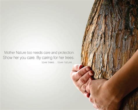 50+ Best Tree Quotes and Thoughts With Pictures | QuotesLines