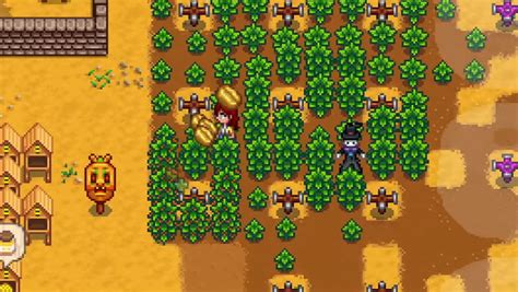 Top 5 Most Profitable Crops for the Greenhouse (Stardew Valley ...