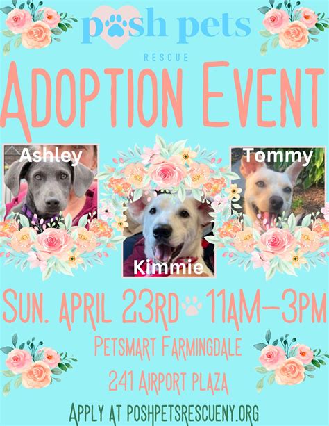 Events - Posh Pets Rescue