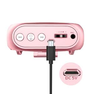 Portable Voice Amplifier for Teachers, 2200mAh Rechargeable Personal ...