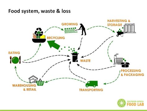 Image result for How Is Food Disposed