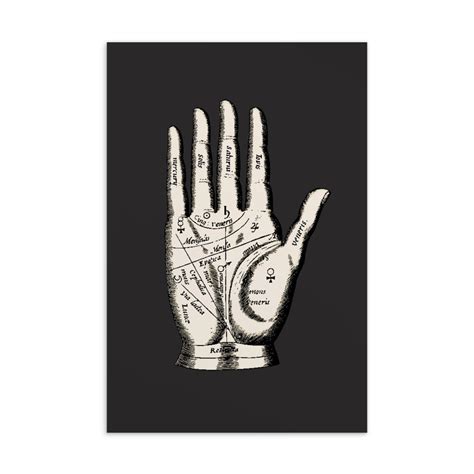 Buy PALMISTRY HAND POSTCARD: Occult Chiromancy Fortune Gypsy Palm ...