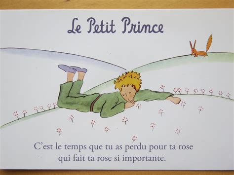le petit prince | The little prince, Magical quotes, Picture quotes