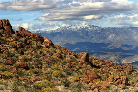 Anza Borrego desert San Diego County CA. In the Spring. | San diego ...