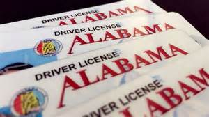 Image result for Alabama Drivers License