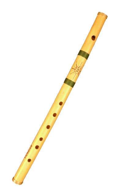 Image result for Indian Wind Instruments