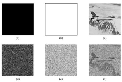 A Novel Image Encryption Algorithm Based on Multiple Random DNA Coding ...