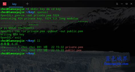 PHP 实现 RSA 公私钥加密 - PHP - 蓝色域界