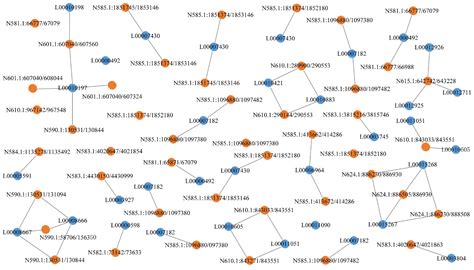 Transcriptomic Profiling of mRNA and lncRNA During the Developmental ...