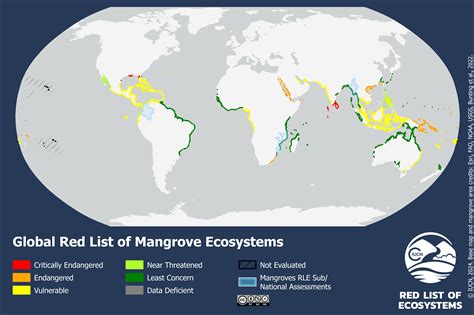 More than half of all mangrove ecosystems at risk of collapse by 2050, first global assessment ...