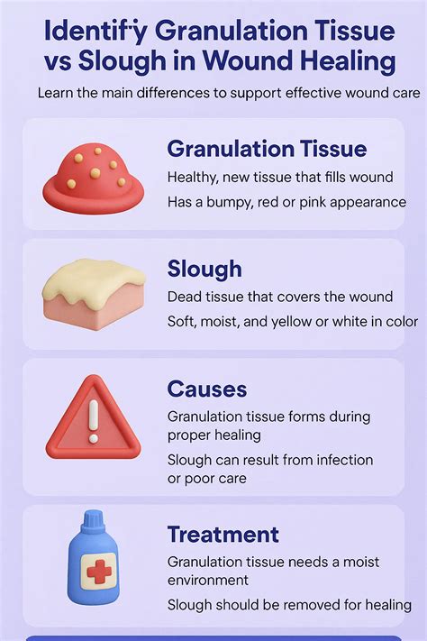 Identify Granulation Tissue vs Slough in Wound Healing