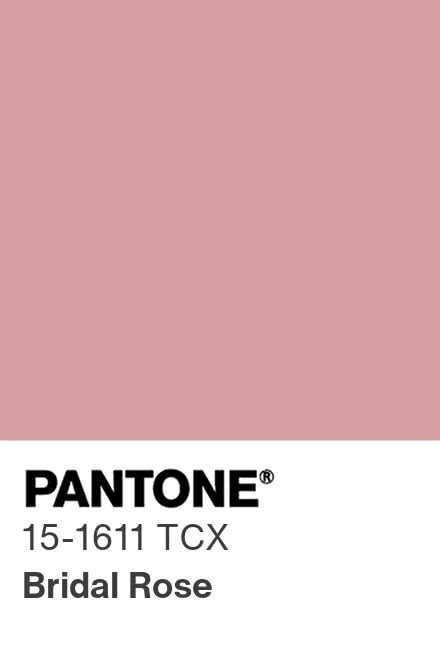 PANTONE® España | PANTONE® 15-1611 TCX - Find a Pantone Color | Quick ...