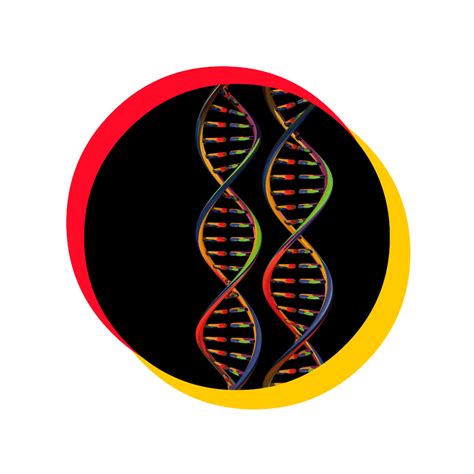 droplet digital PCR (ddPCR) and copy number alteration (CNA)