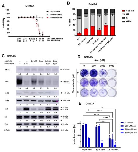 Therapeutic Efficacy of Pharmacological Ascorbate on Braf Inhibitor ...
