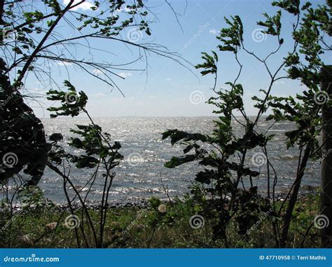 Mille Lacs Lake stock photo. Image of lake, minnesota - 47710958