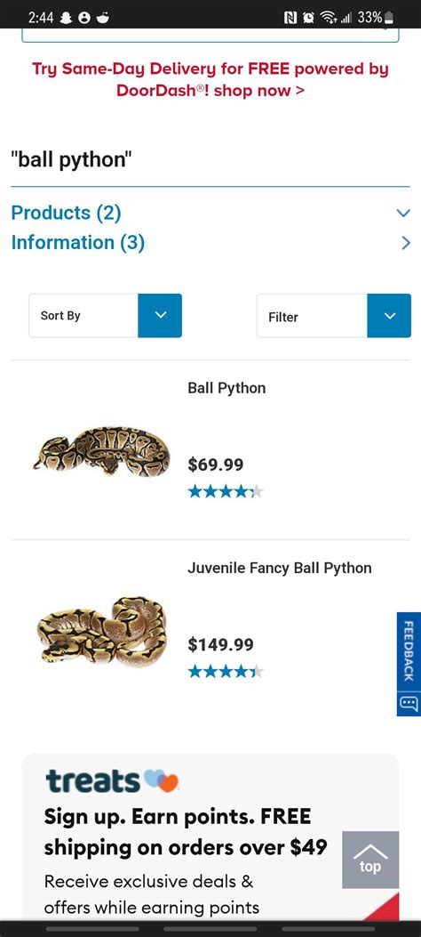 Image result for Fancy Ball Python