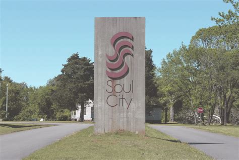 Learning from Soul City