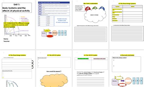 Image result for Understanding Energy Systems Exercise