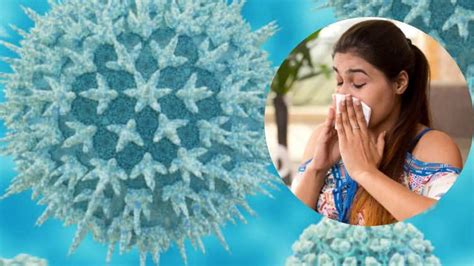 Delhi Faces Worse H1N1 Swine Flu Outbreak in Years As Cases Rise; Here ...
