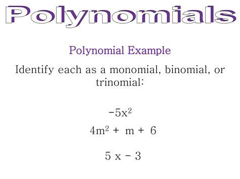 Math Polynomials Basics 的图像结果